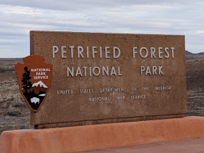Petried National Forest, AZ