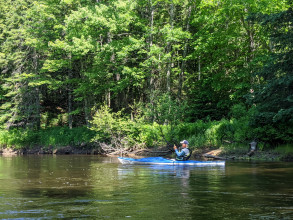 Kayaking Manistique River, Germfask, MI