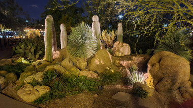 Chihully Exhibit at Desert Botanical Gardens, Phoenix, AZ
